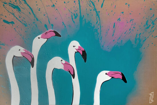 flamants roses